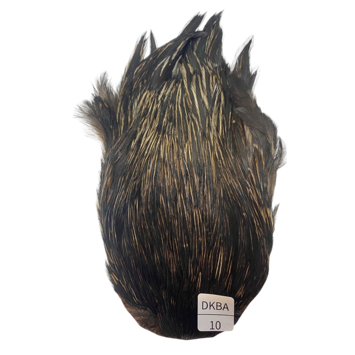 画像1: インドコックケープ India Cock Neck Cape　　ダークバジャー　NO10 (1)