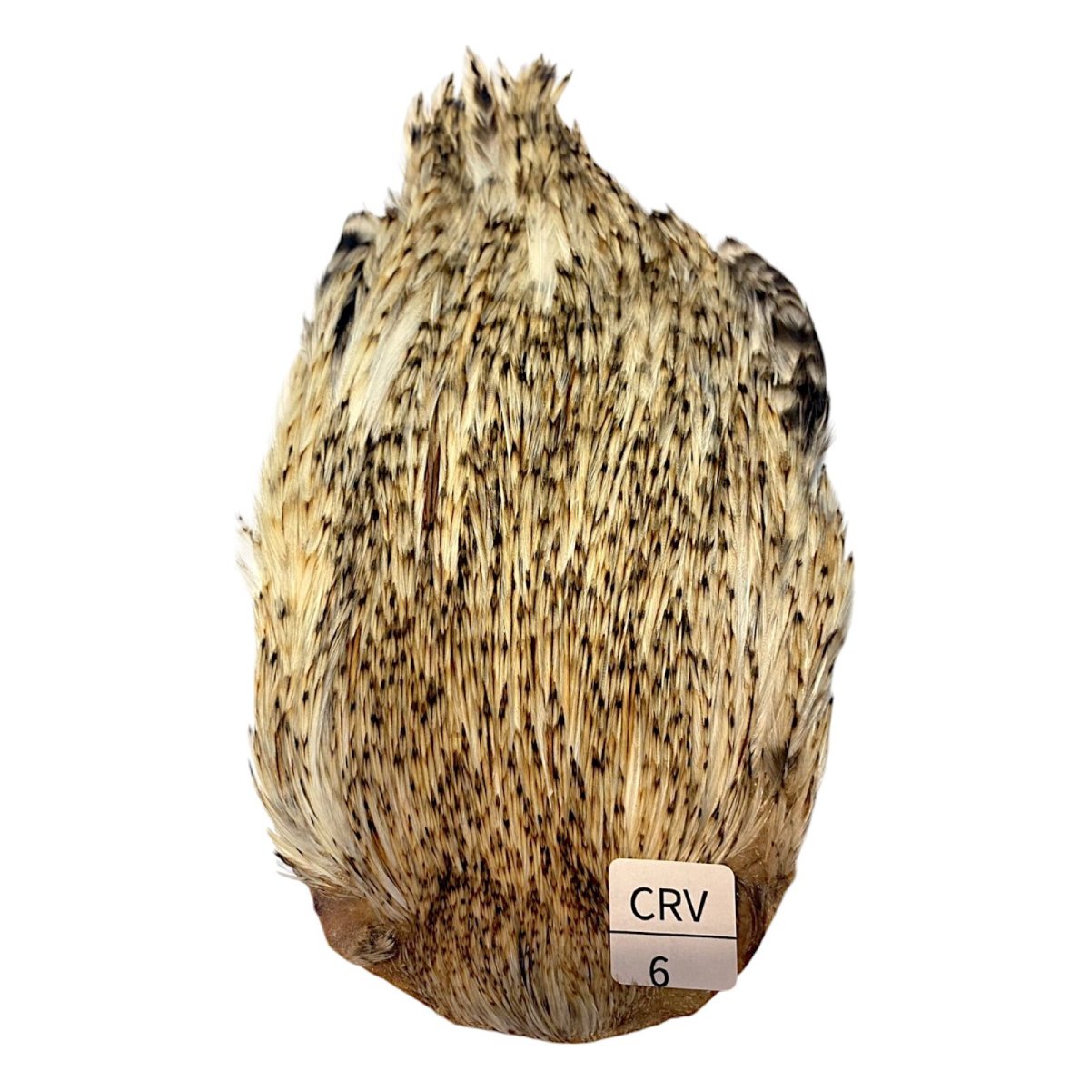 画像1: インドコックケープ India Cock Neck Cape　　クリームバリアント　NO06 (1)