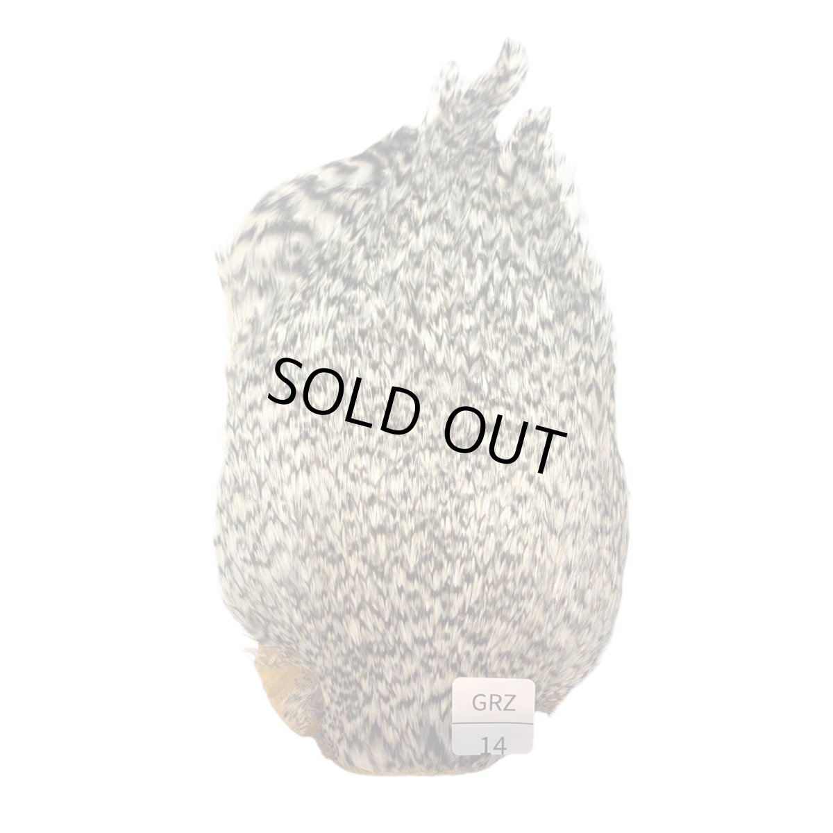 画像1: インドコックケープ India Cock Neck Cape　グリズリー　NO14 (1)