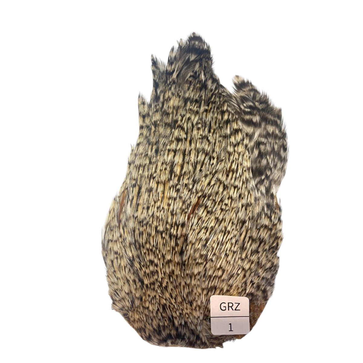 画像1: インドコックケープ India Cock Neck Cape　グリズリー　NO01 (1)