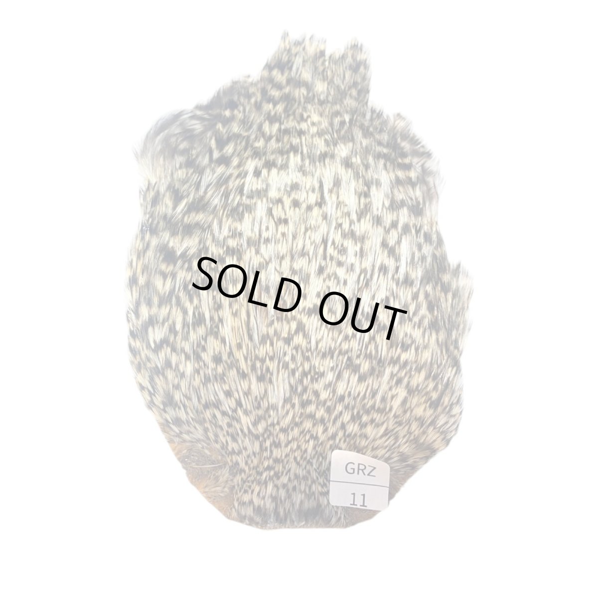 画像1: インドコックケープ India Cock Neck Cape　グリズリー　NO11 (1)