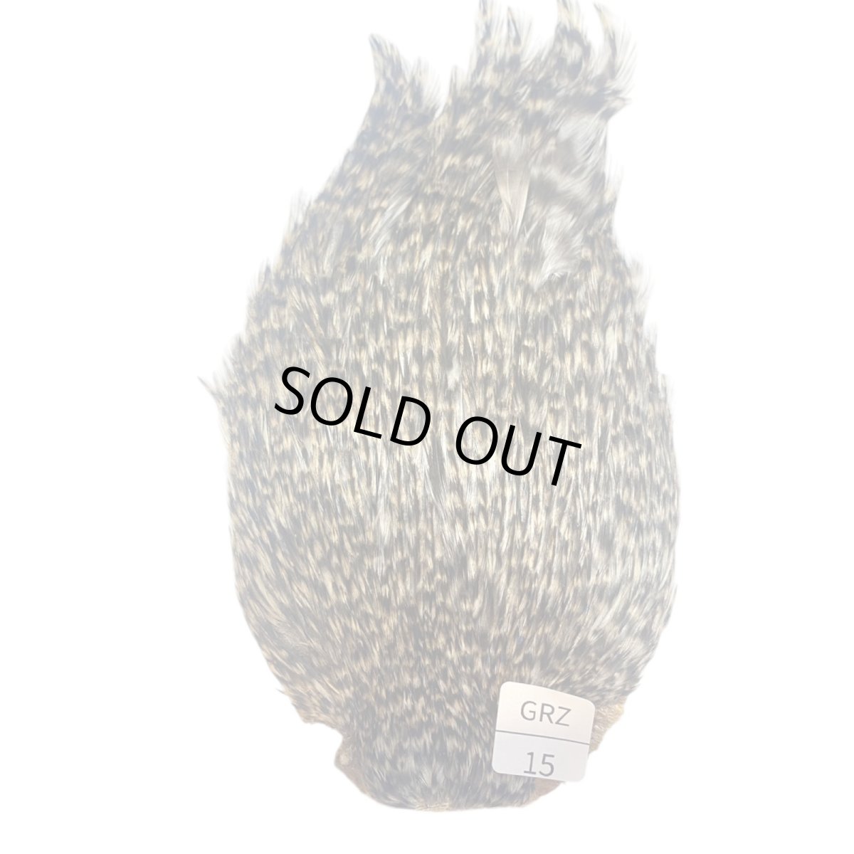 画像1: インドコックケープ India Cock Neck Cape　グリズリー　NO15 (1)