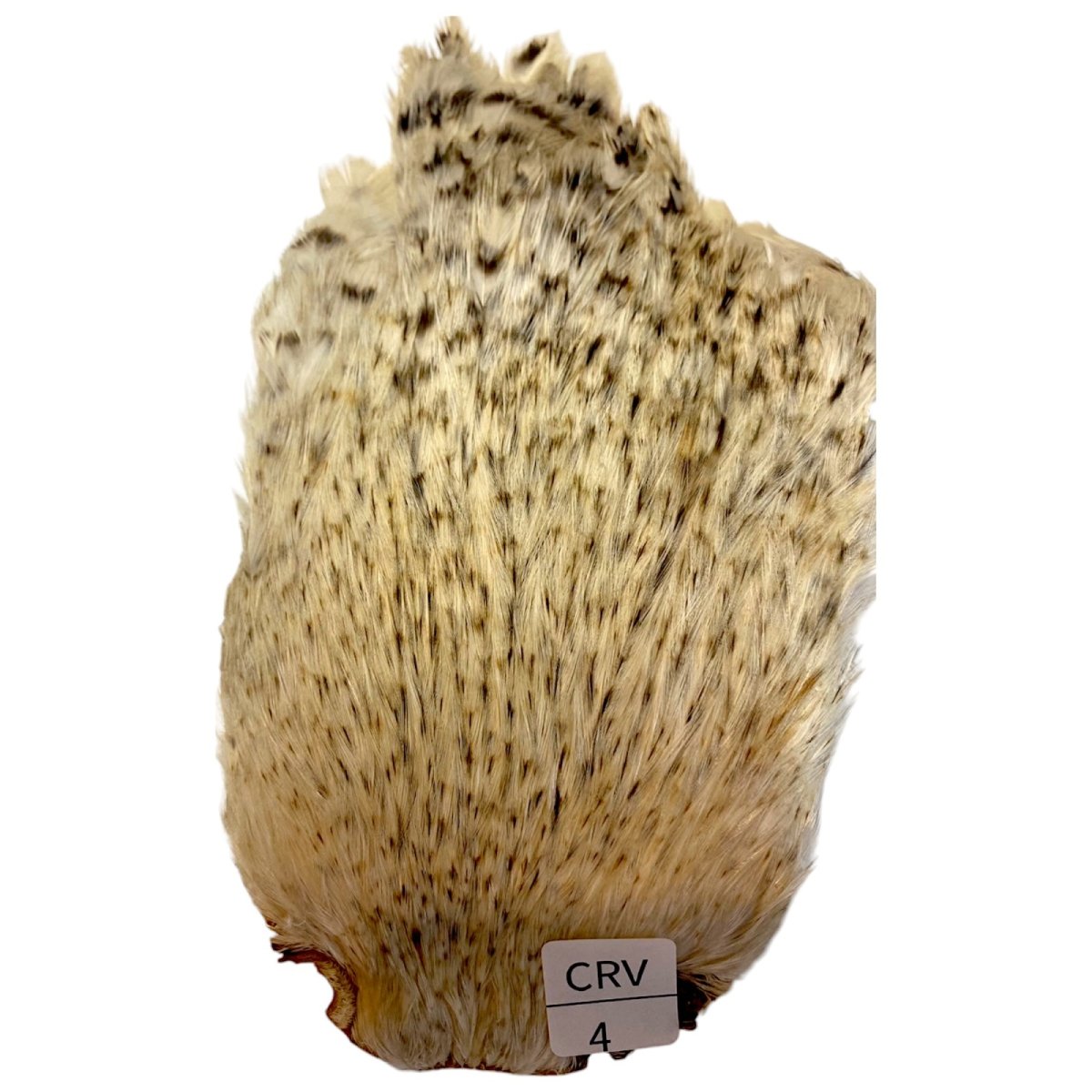 画像1: インドコックケープ India Cock Neck Cape　　クリームバリアント　NO04 (1)