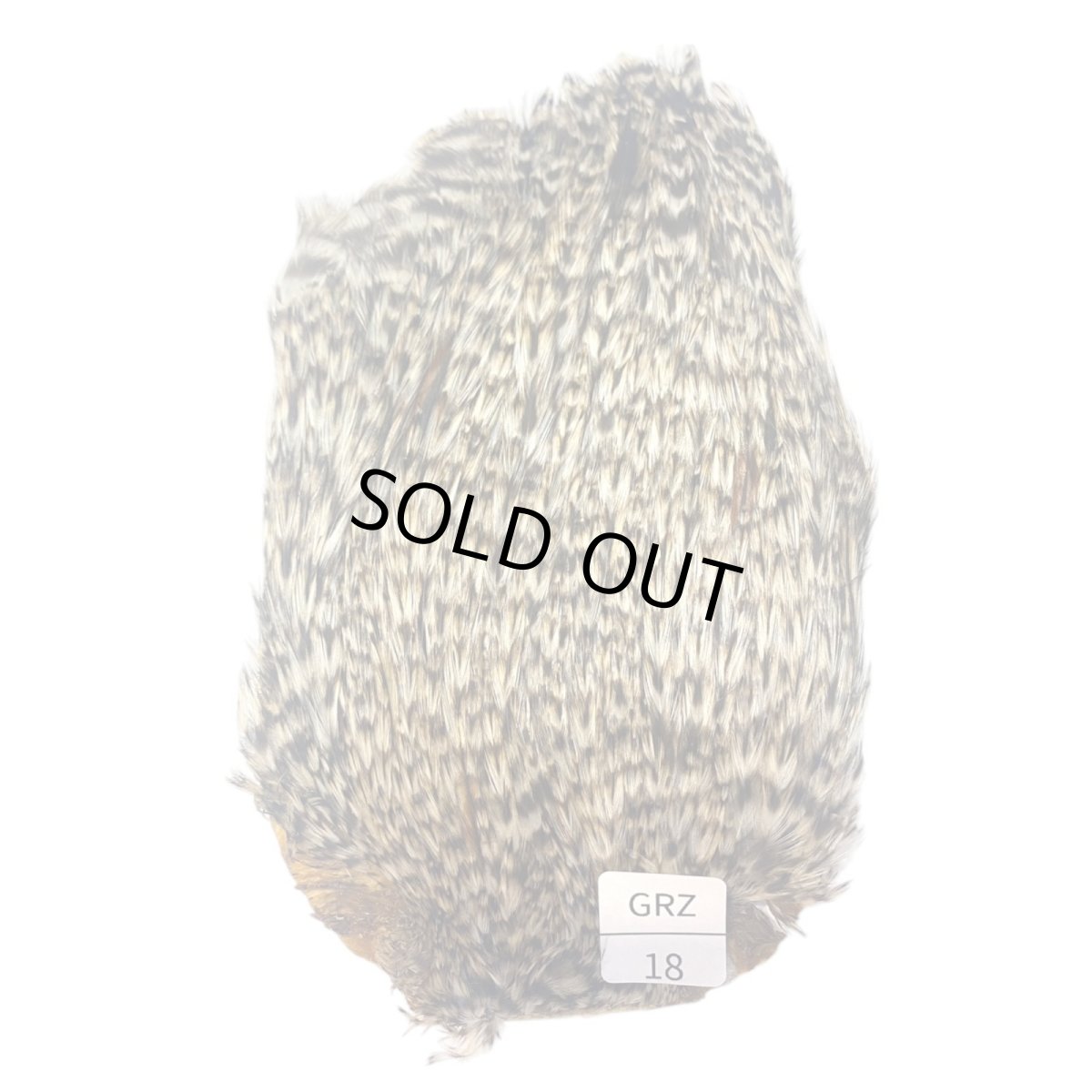 画像1: インドコックケープ India Cock Neck Cape　グリズリー　NO18 (1)