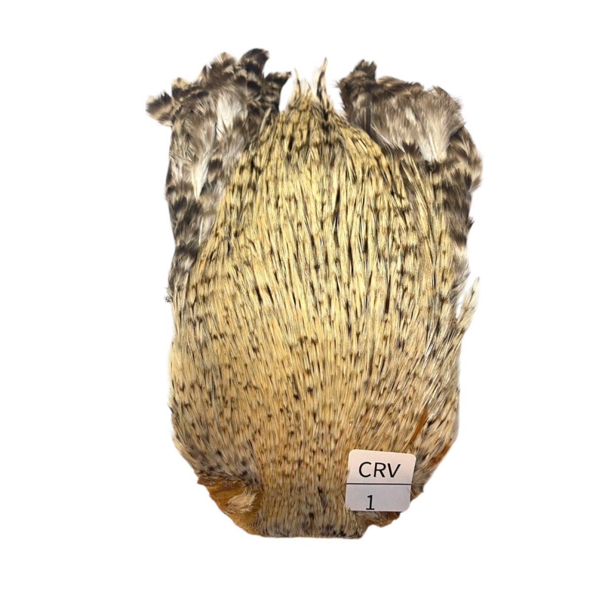 画像1: インドコックケープ India Cock Neck Cape　　クリームバリアント　NO01 (1)
