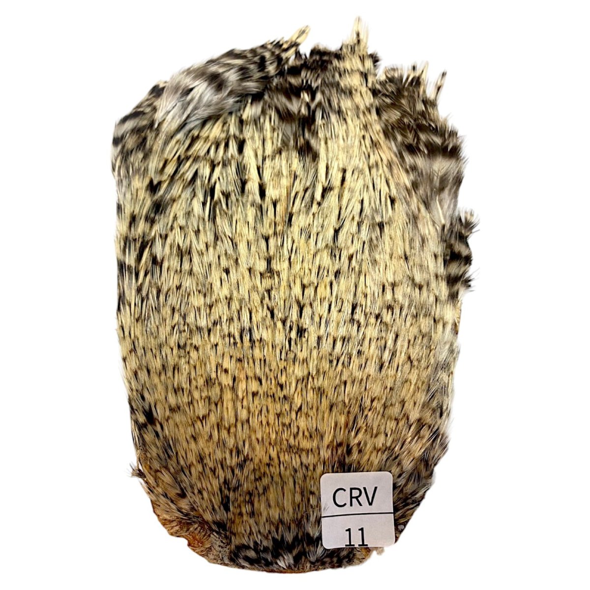 画像1: インドコックケープ India Cock Neck Cape　　クリームバリアント　NO11 (1)
