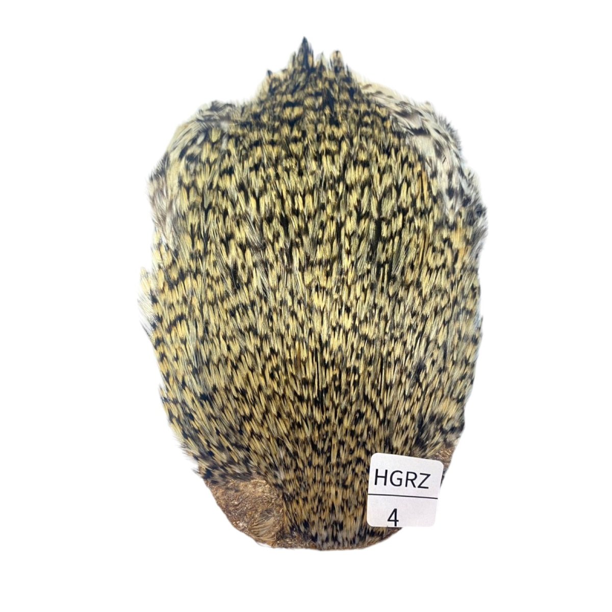 画像1: インドコックケープ India Cock Neck Cape　　ハニーグリズリー　NO04 (1)