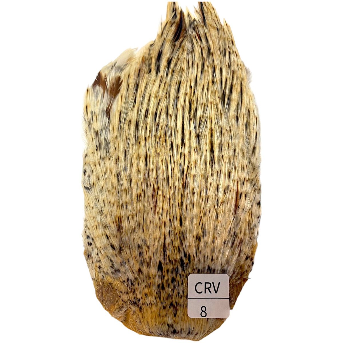 画像1: インドコックケープ India Cock Neck Cape　　クリームバリアント　NO08 (1)