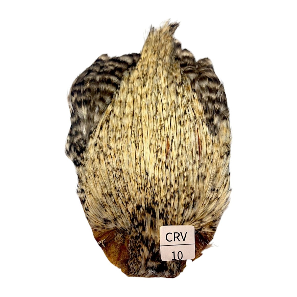 画像1: インドコックケープ India Cock Neck Cape　　クリームバリアント　NO10 (1)