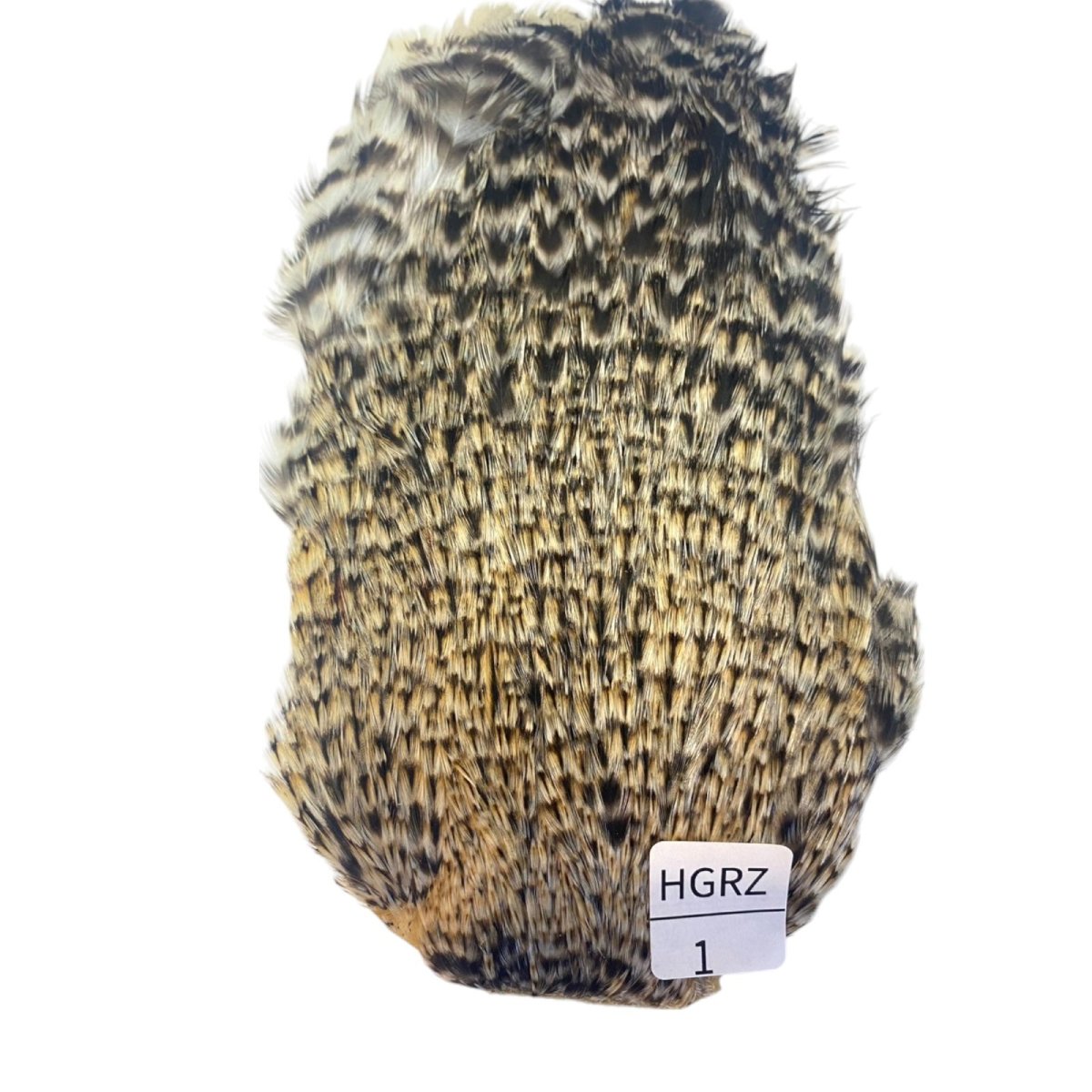 画像1: インドコックケープ India Cock Neck Cape　　ハニーグリズリー　NO01 (1)
