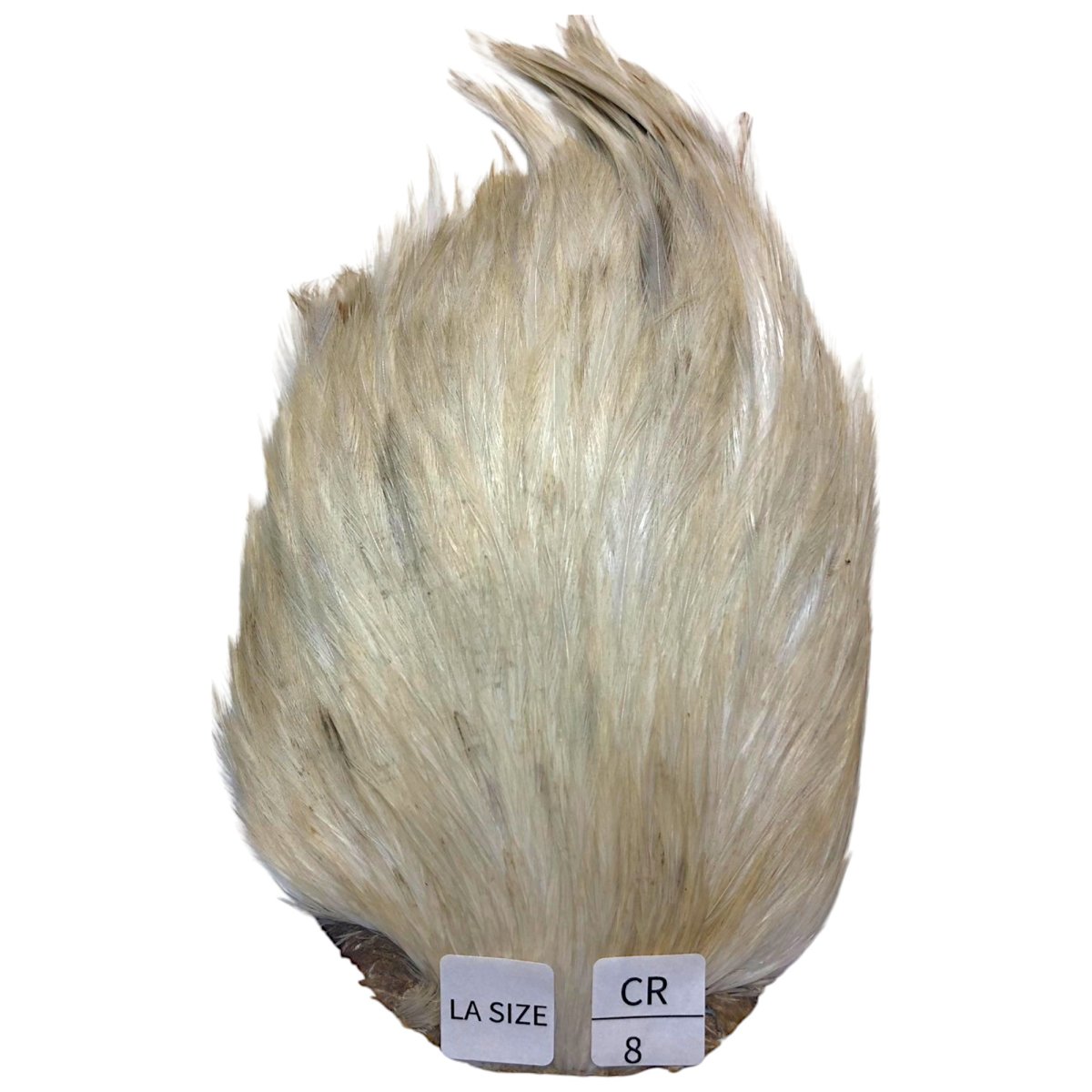 画像1: LA　SIZE　インドコックケープ India Cock Neck Cape　　クリーム　NO08 (1)