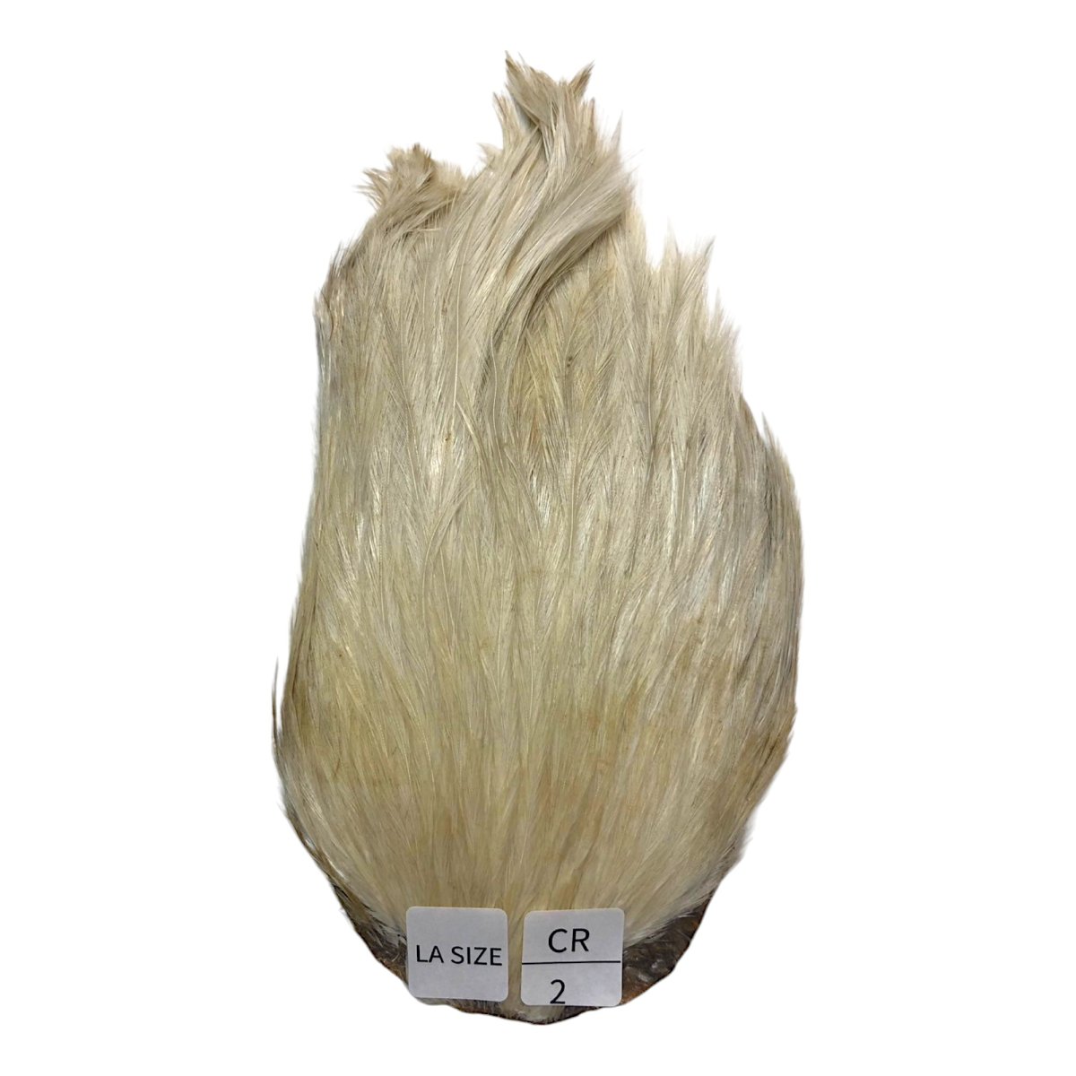 画像1: LA　SIZE　インドコックケープ India Cock Neck Cape　　クリーム　NO02 (1)
