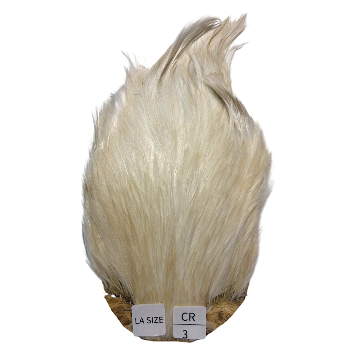 画像1: LA　SIZE　インドコックケープ India Cock Neck Cape　　クリーム　NO03 (1)