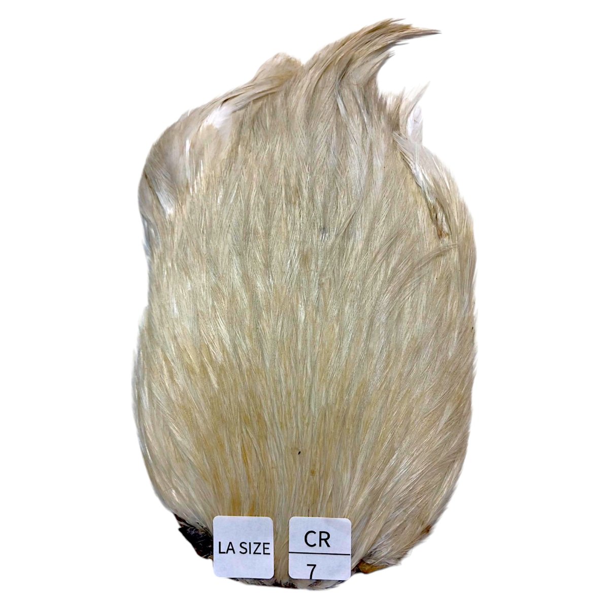 画像1: LA　SIZE　インドコックケープ India Cock Neck Cape　　クリーム　NO07 (1)
