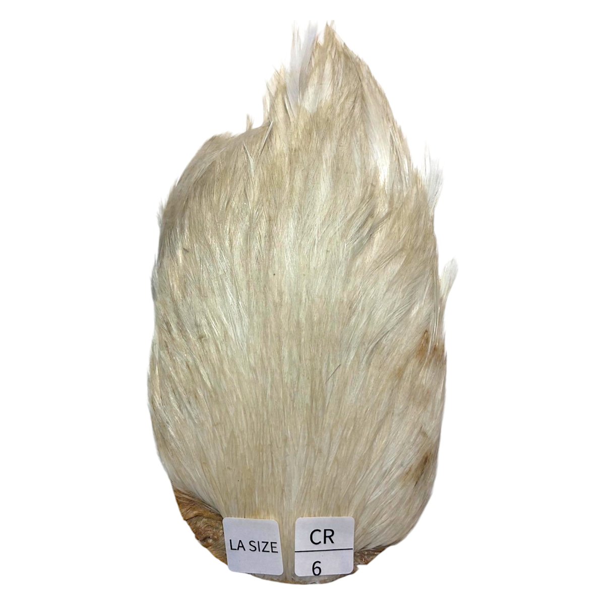 画像1: LA　SIZE　インドコックケープ India Cock Neck Cape　　クリーム　NO06 (1)