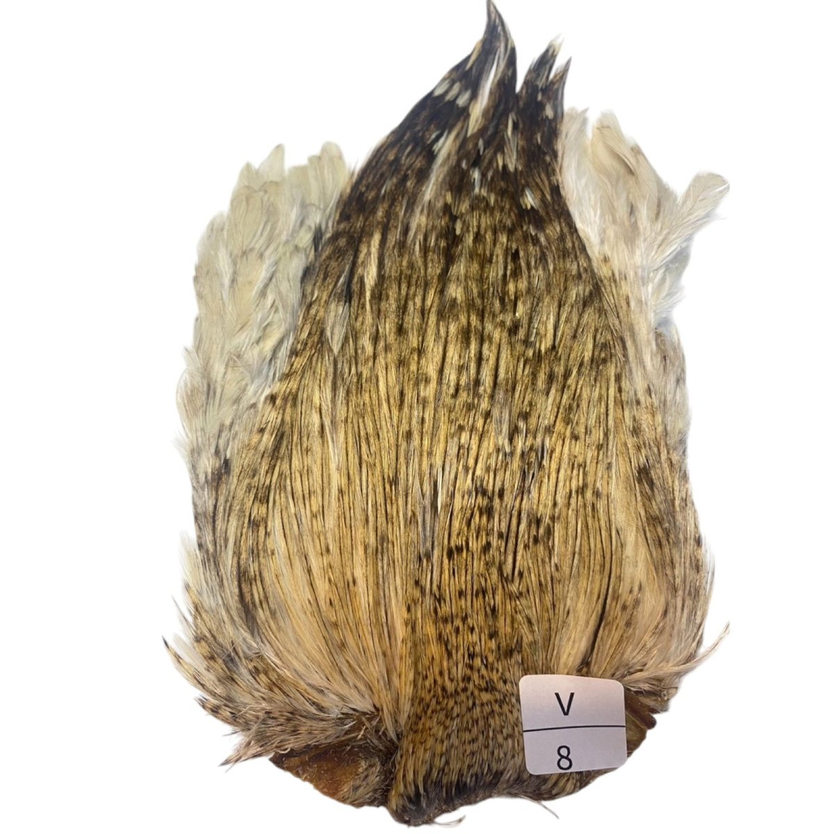 画像1: インドコックケープ India Cock Neck Cape　バリアント　NO8 (1)