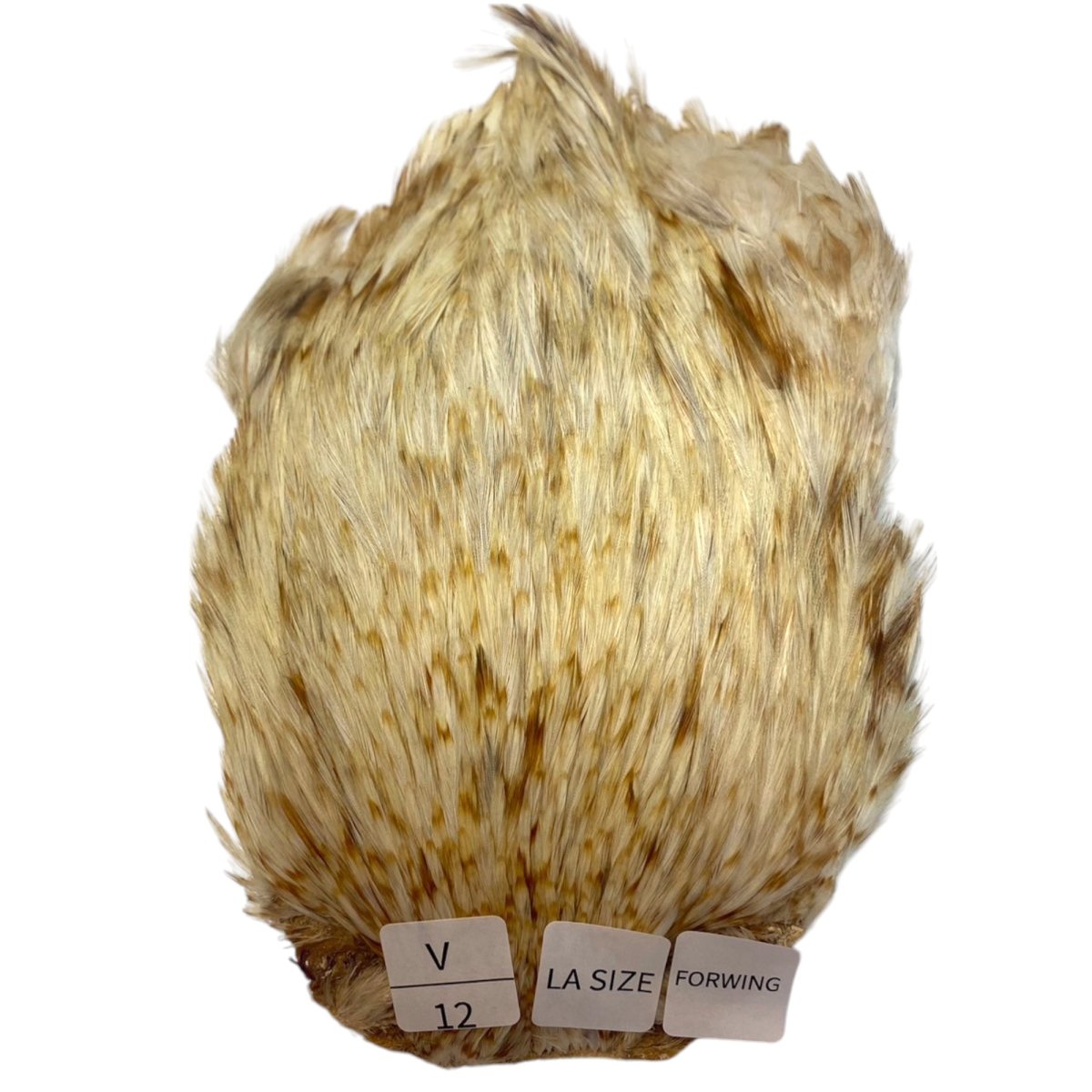 画像1: LASIZE＆ForBody インドコックケープ India Cock Neck Cape　バリアント　NO12 (1)