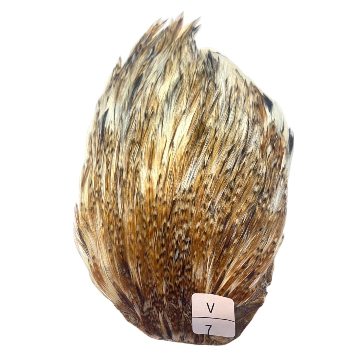 画像1: インドコックケープ India Cock Neck Cape　バリアント　NO7 (1)