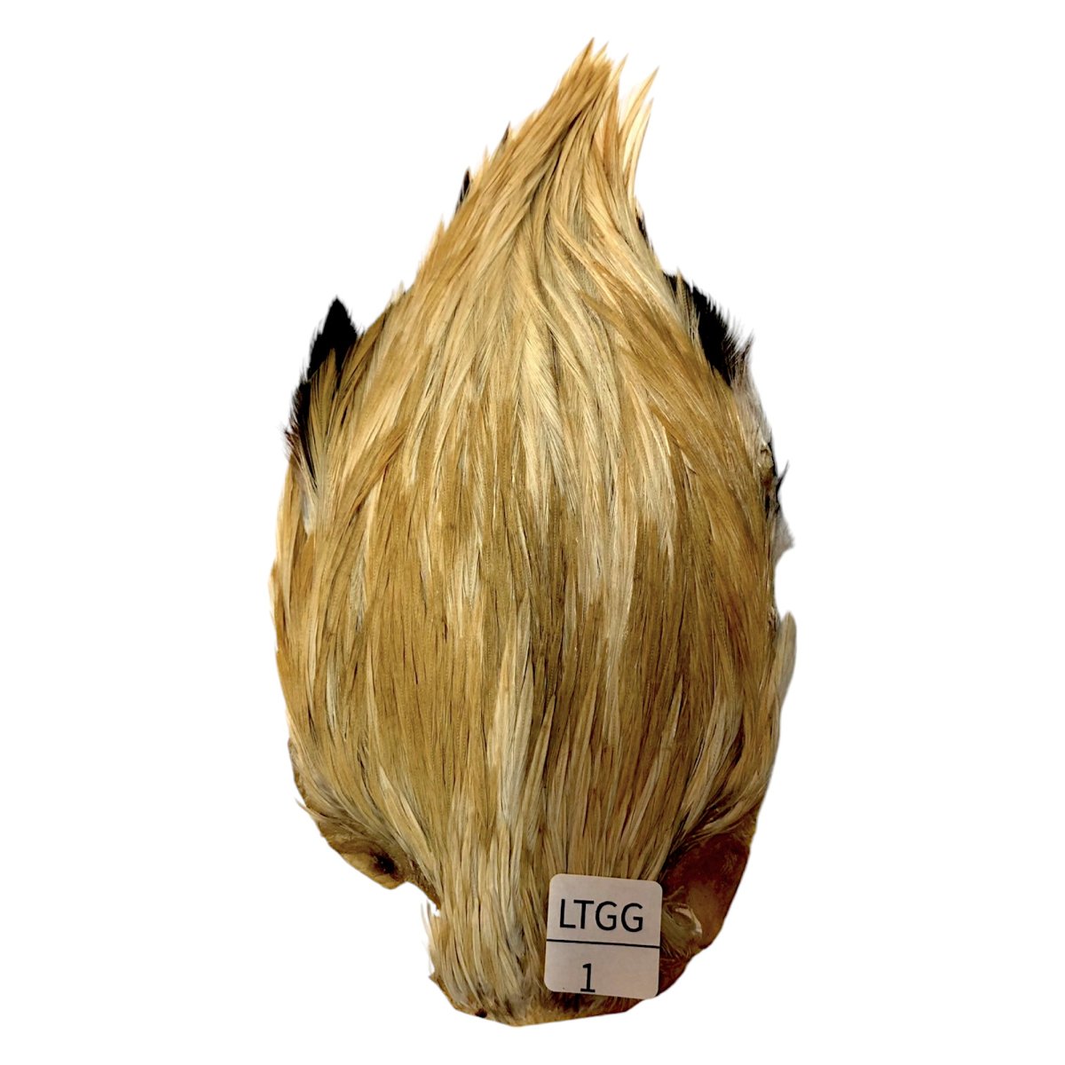 画像1: インドコックケープ India Cock Neck Cape　　ライトジンジャー　NO1 (1)