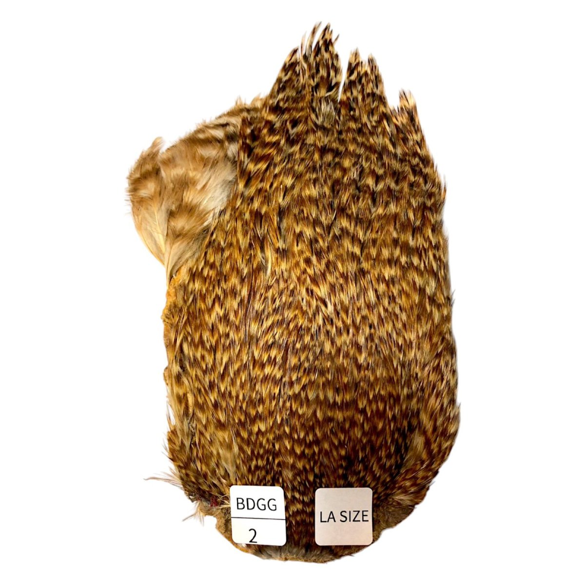 画像1: LA　SIZE　インドコックケープ India Cock Neck Cape　　バードジンジャー　NO2 (1)