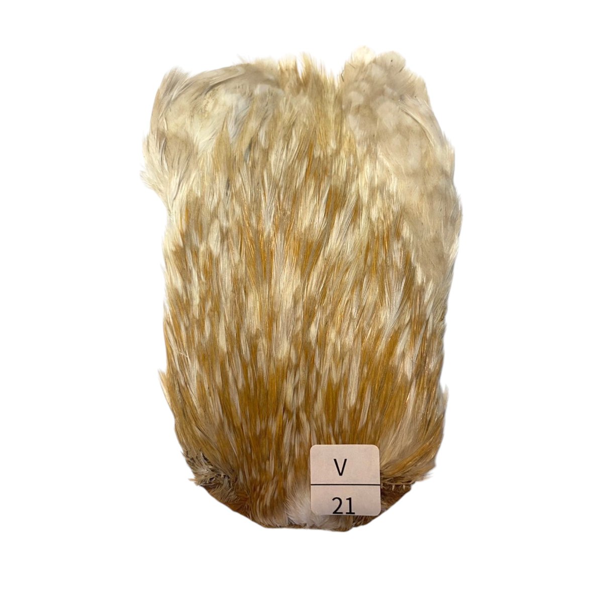 画像1: インドコックケープ India Cock Neck Cape　バリアント　NO21 (1)