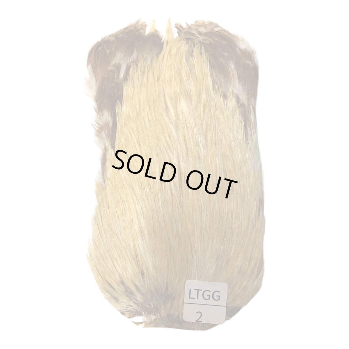 画像1: インドコックケープ India Cock Neck Cape　　ライトジンジャー　NO2 (1)