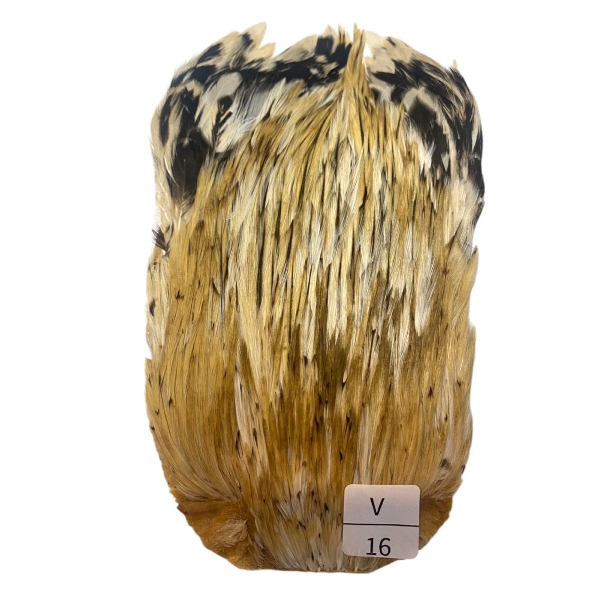 画像1: インドコックケープ India Cock Neck Cape　バリアント　NO16 (1)