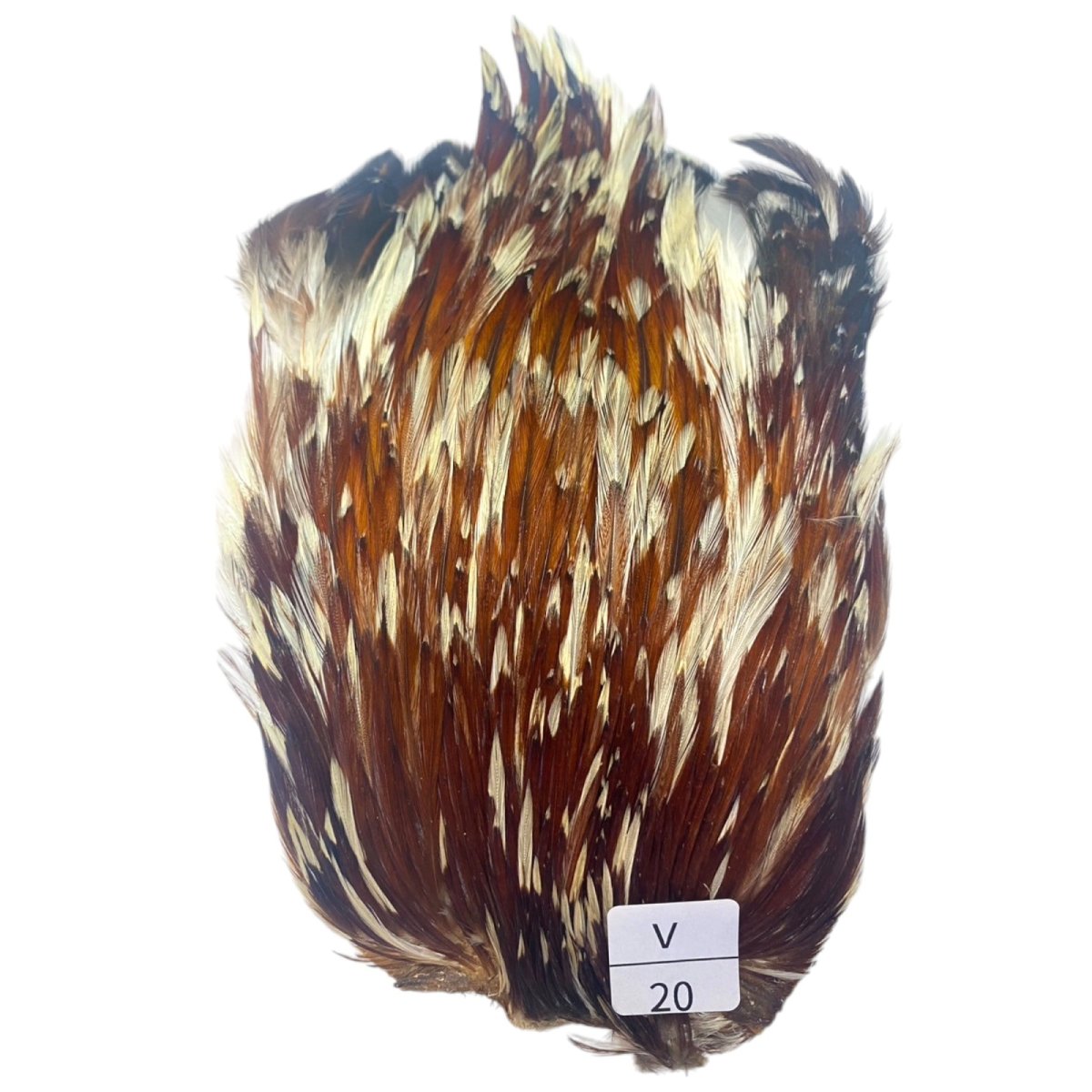 画像1: インドコックケープ India Cock Neck Cape　バリアント　NO20 (1)