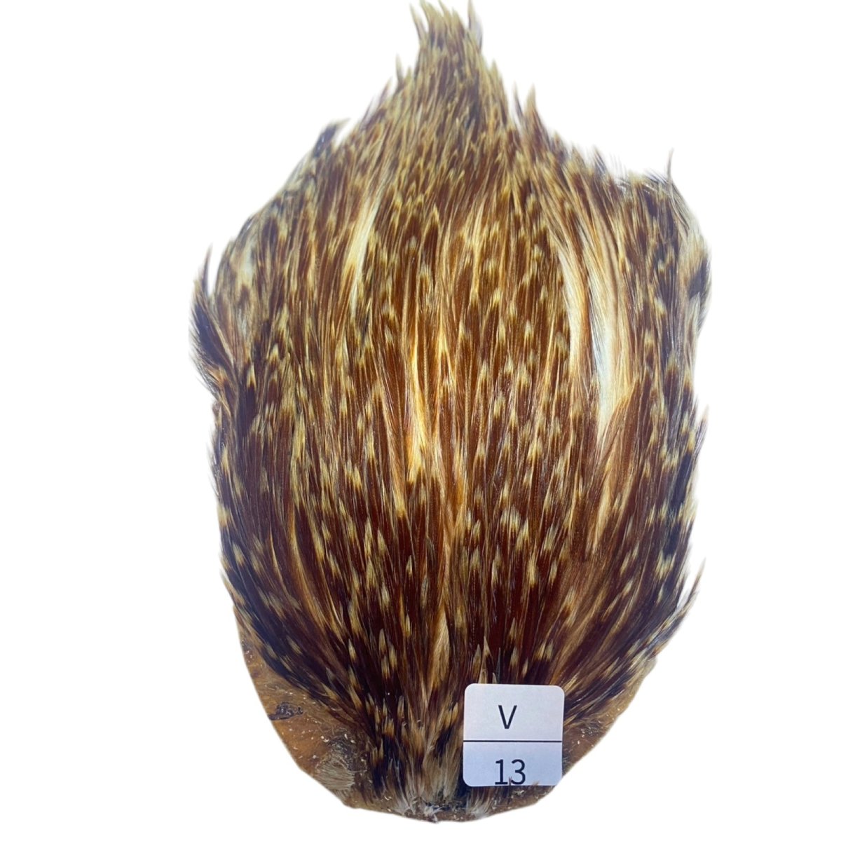 画像1: インドコックケープ India Cock Neck Cape　バリアント　NO13 (1)