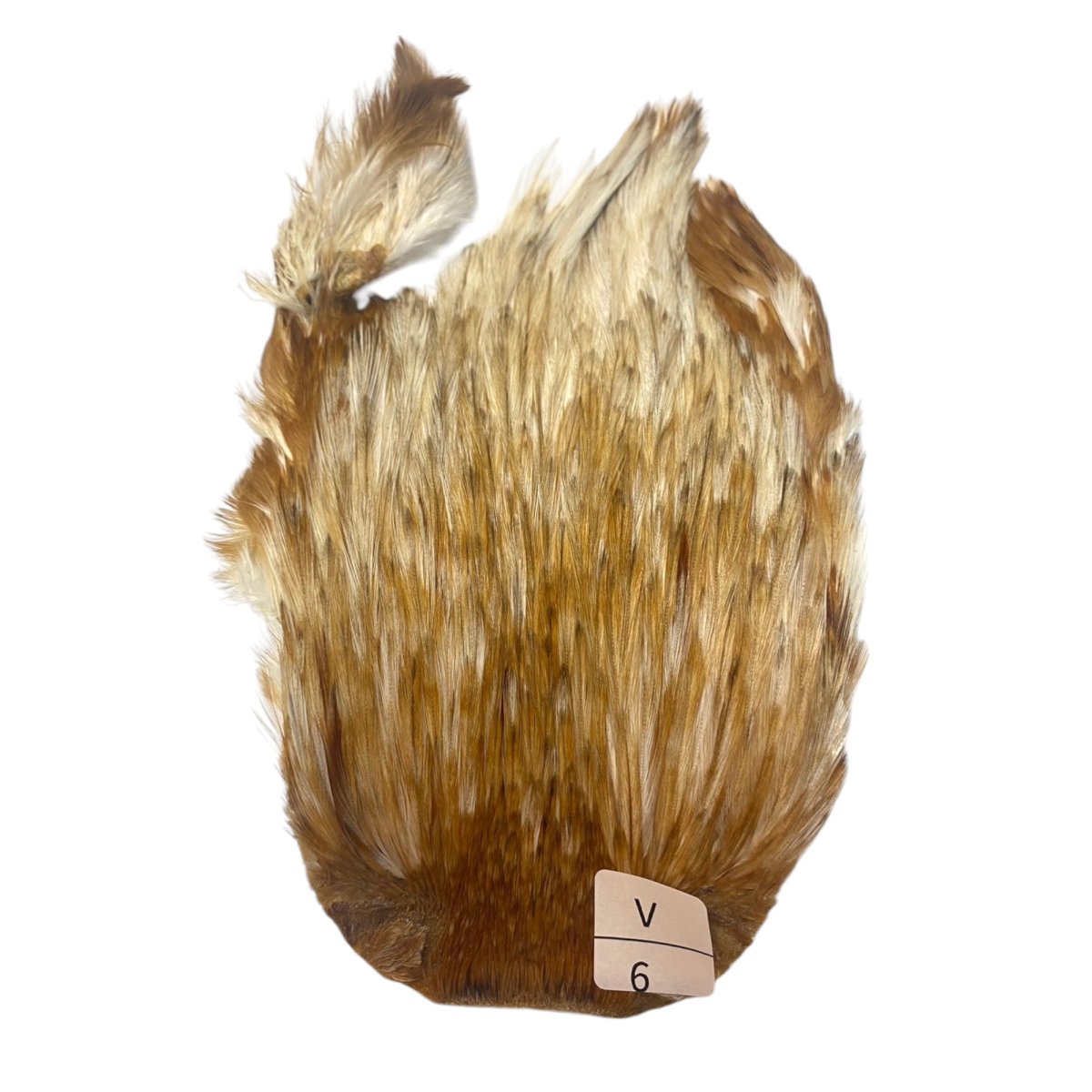 画像1: インドコックケープ India Cock Neck Cape　バリアント　NO6 (1)