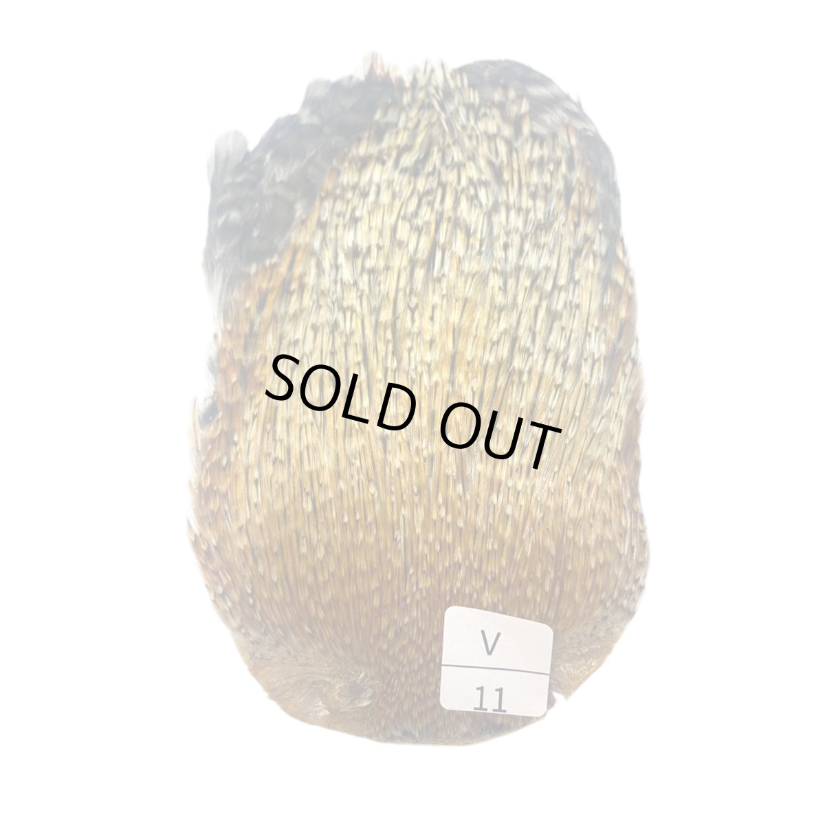 画像1: インドコックケープ India Cock Neck Cape　バリアント　NO11 (1)