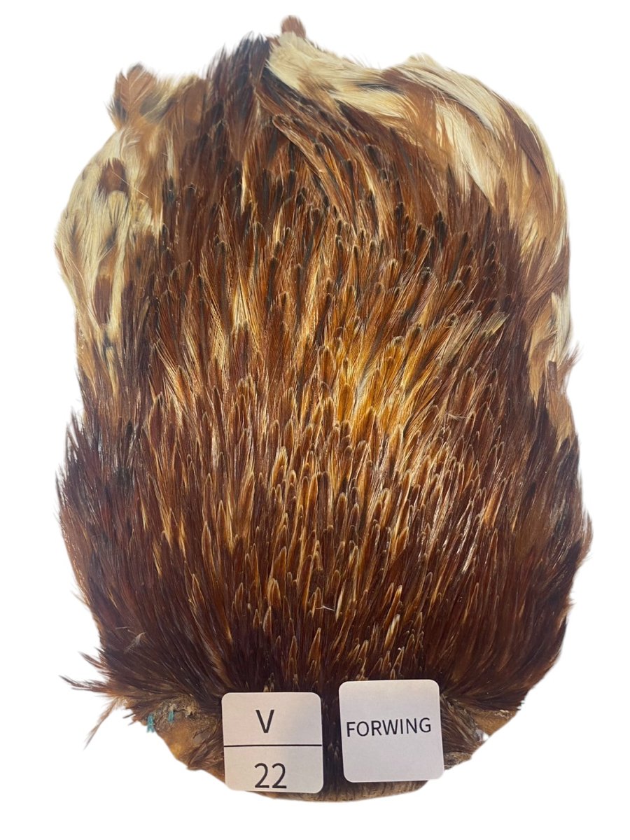 画像1: FORWING インドコックケープ India Cock Neck Cape　バリアント　NO22 (1)