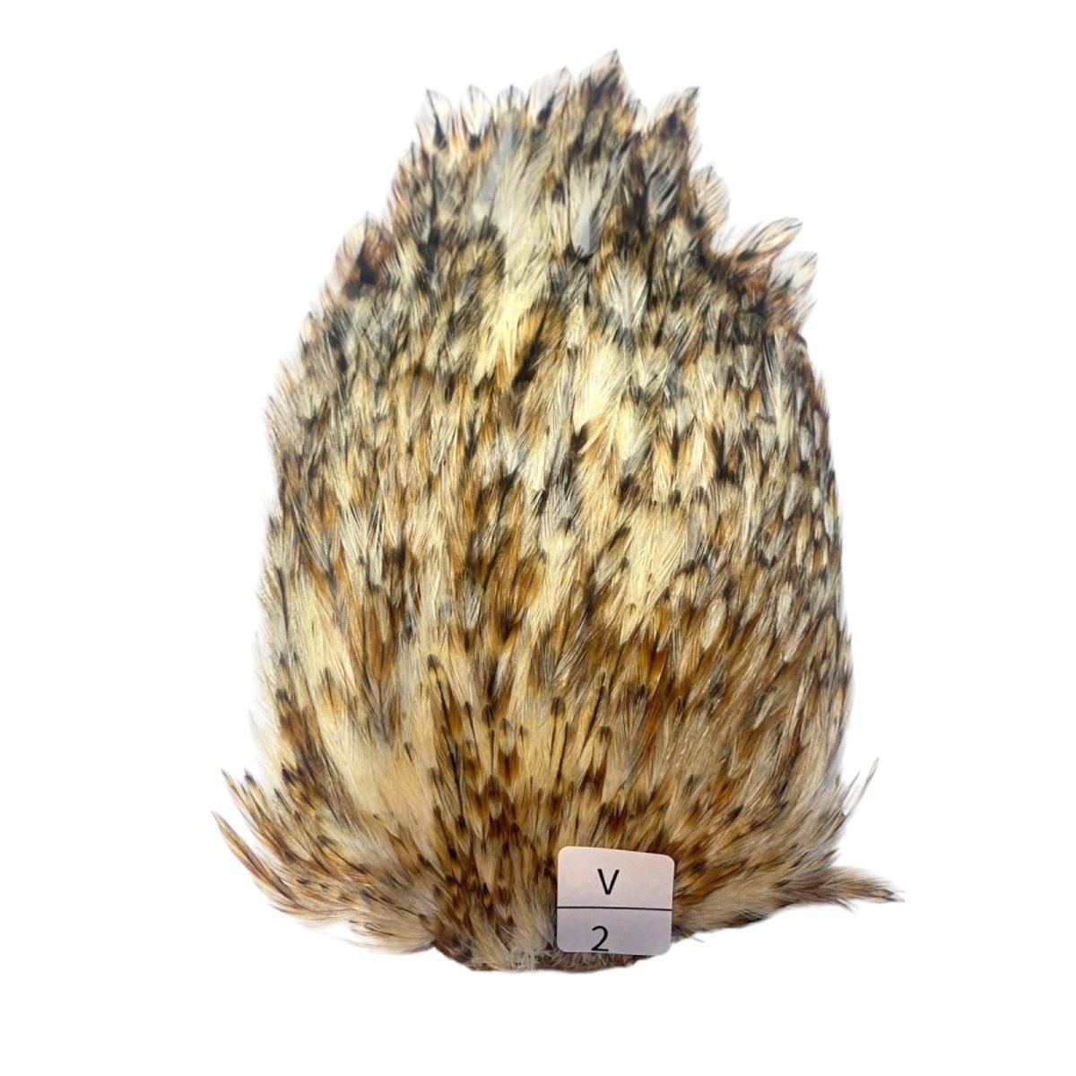 画像1: インドコックケープ India Cock Neck Cape　バリアント　NO2 (1)