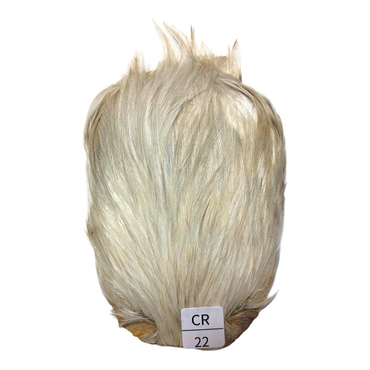 画像1: インドコックケープ India Cock Neck Cape　　クリーム　NO22 (1)