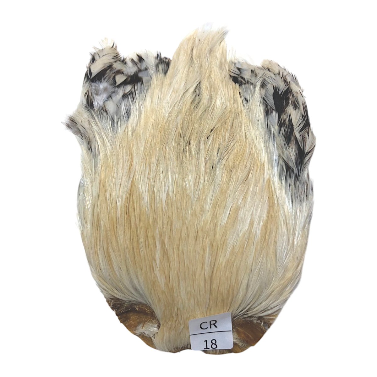 画像1: インドコックケープ India Cock Neck Cape　　クリーム　NO18 (1)