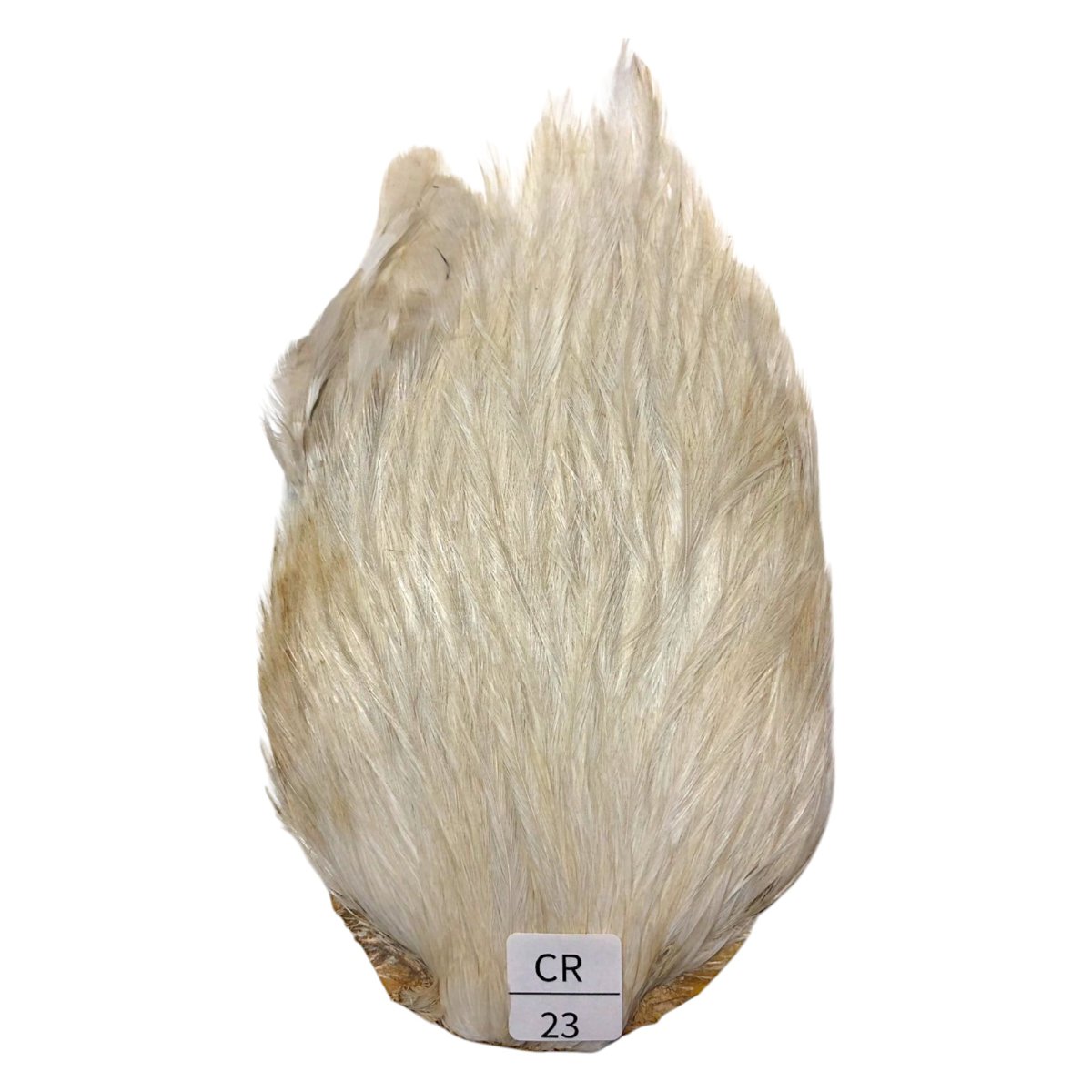 画像1: インドコックケープ India Cock Neck Cape　　クリーム　NO23 (1)
