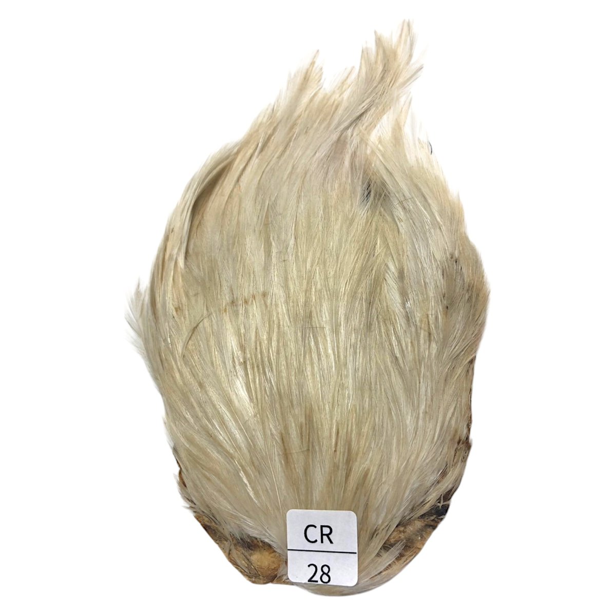 画像1: インドコックケープ India Cock Neck Cape　　クリーム　NO28 (1)