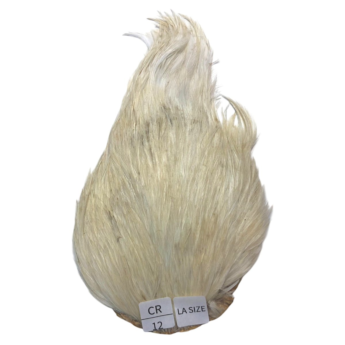 画像1: LA　SIZE　インドコックケープ India Cock Neck Cape　　クリーム　NO12 (1)