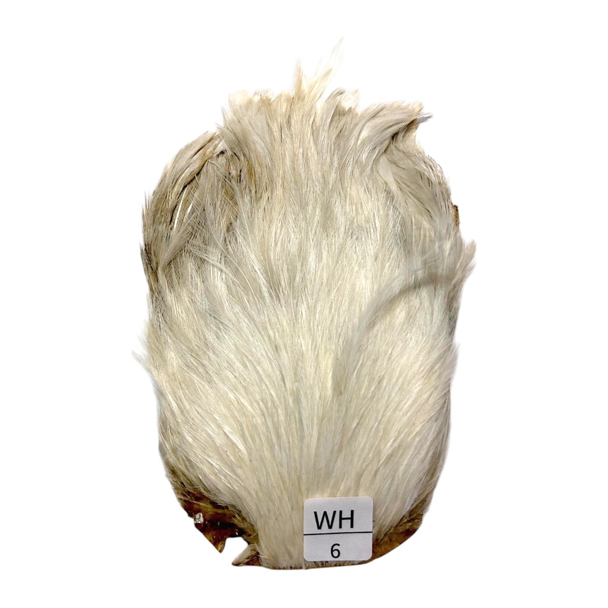 画像1: インドコックケープ India Cock Neck Cape　　ホワイト　NO06 (1)