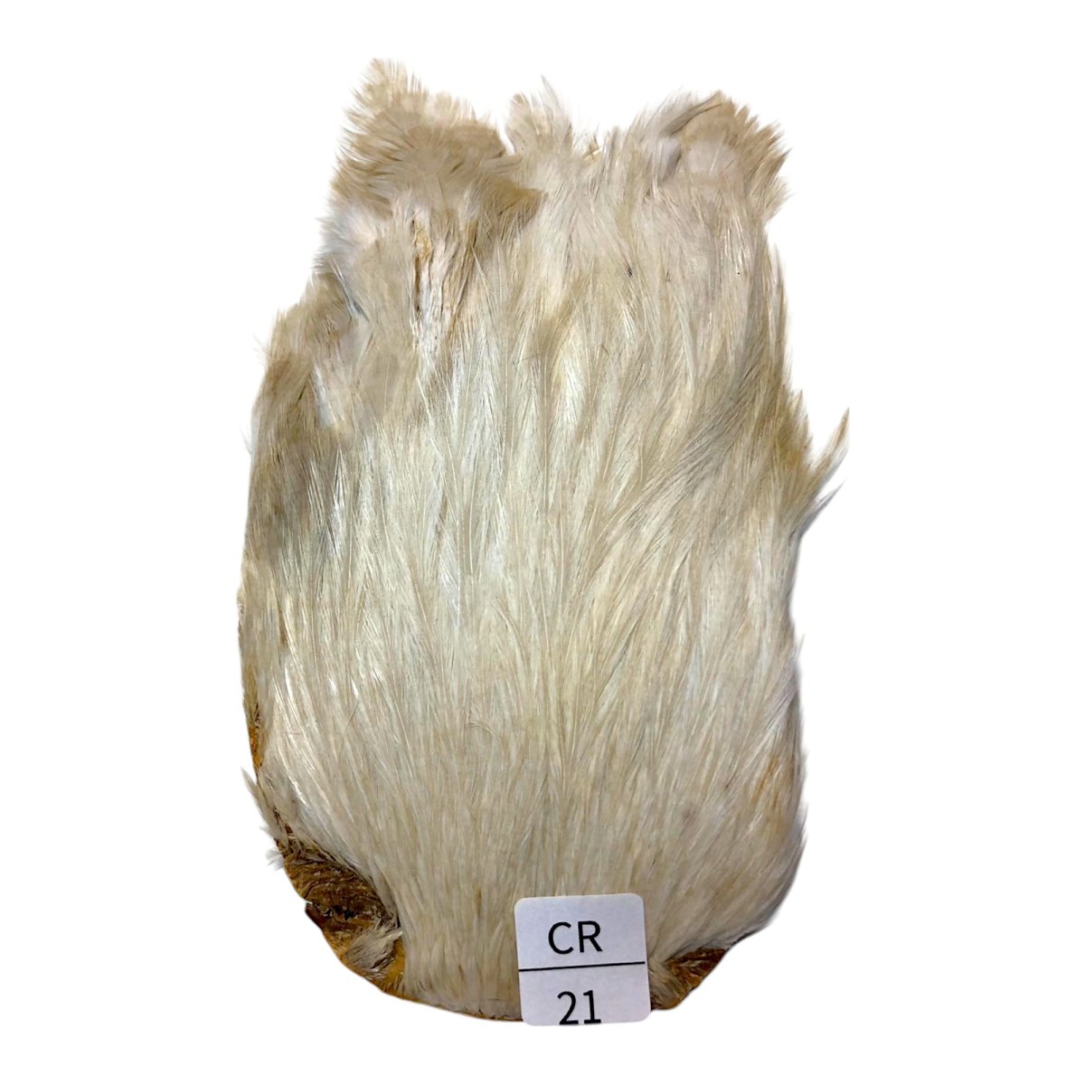 画像1: インドコックケープ India Cock Neck Cape　　クリーム　NO21 (1)