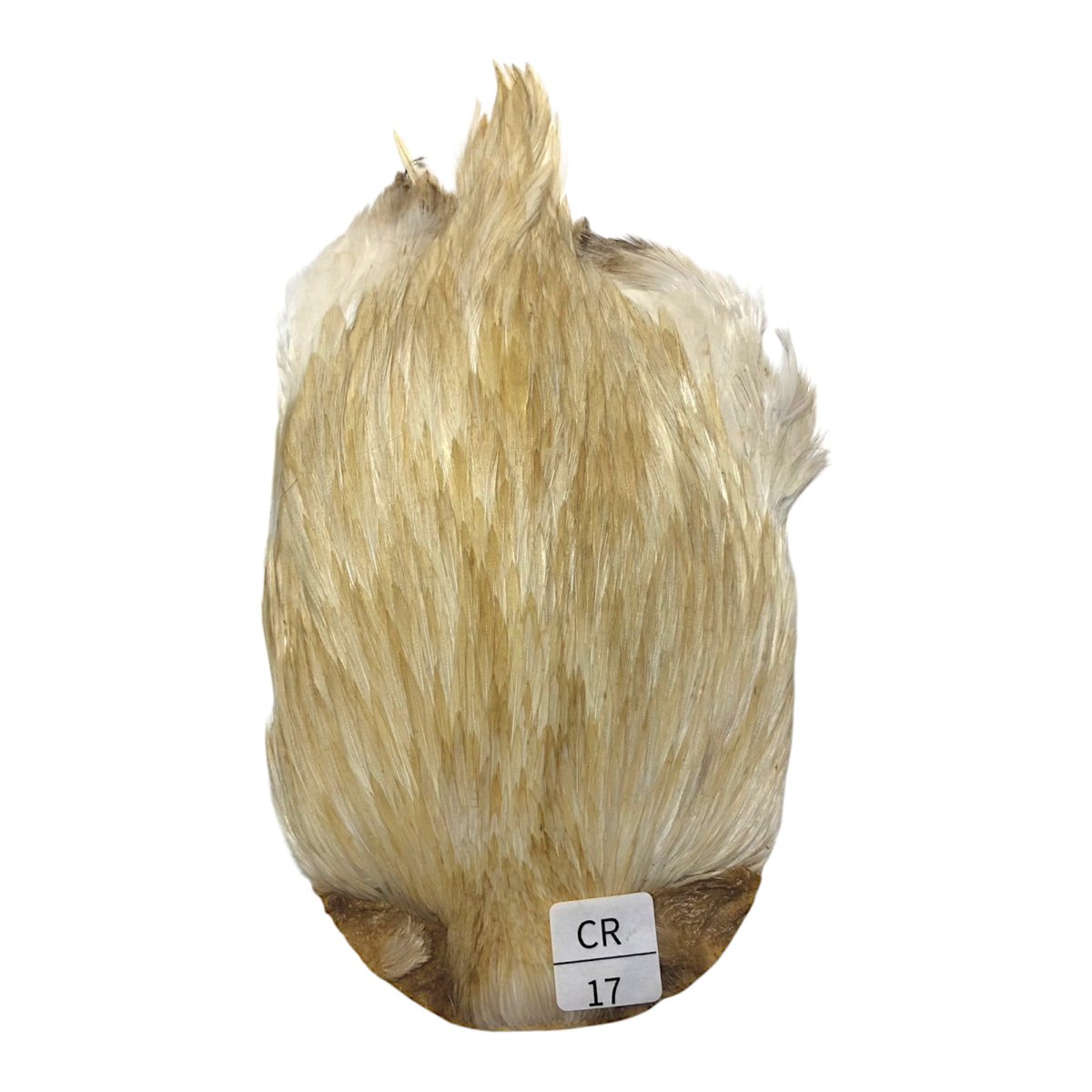 画像1: インドコックケープ India Cock Neck Cape　　クリーム　NO17 (1)