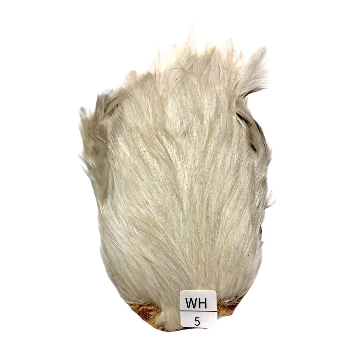 画像1: インドコックケープ India Cock Neck Cape　　ホワイト　NO05 (1)