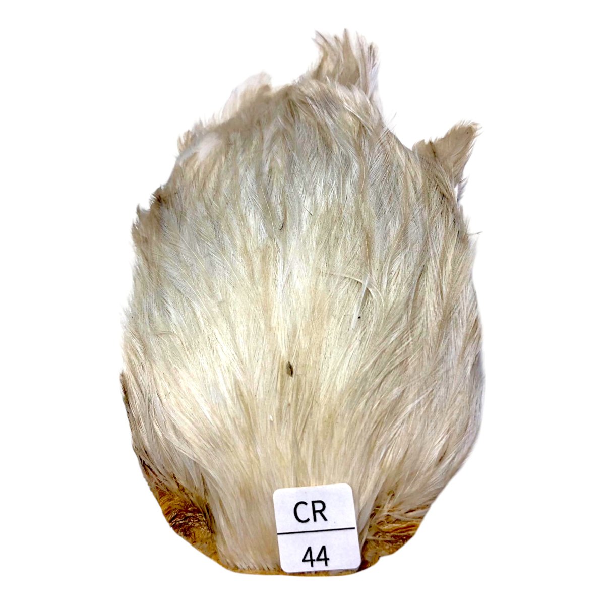 画像1: インドコックケープ India Cock Neck Cape　　クリーム　NO44 (1)