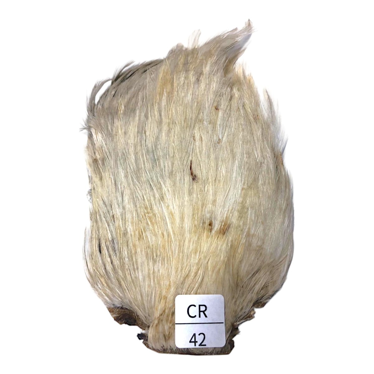 画像1: インドコックケープ India Cock Neck Cape　　クリーム　NO42 (1)