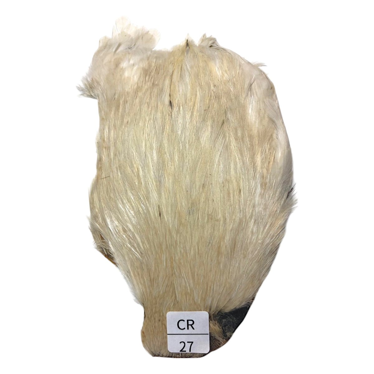 画像1: インドコックケープ India Cock Neck Cape　　クリーム　NO27 (1)