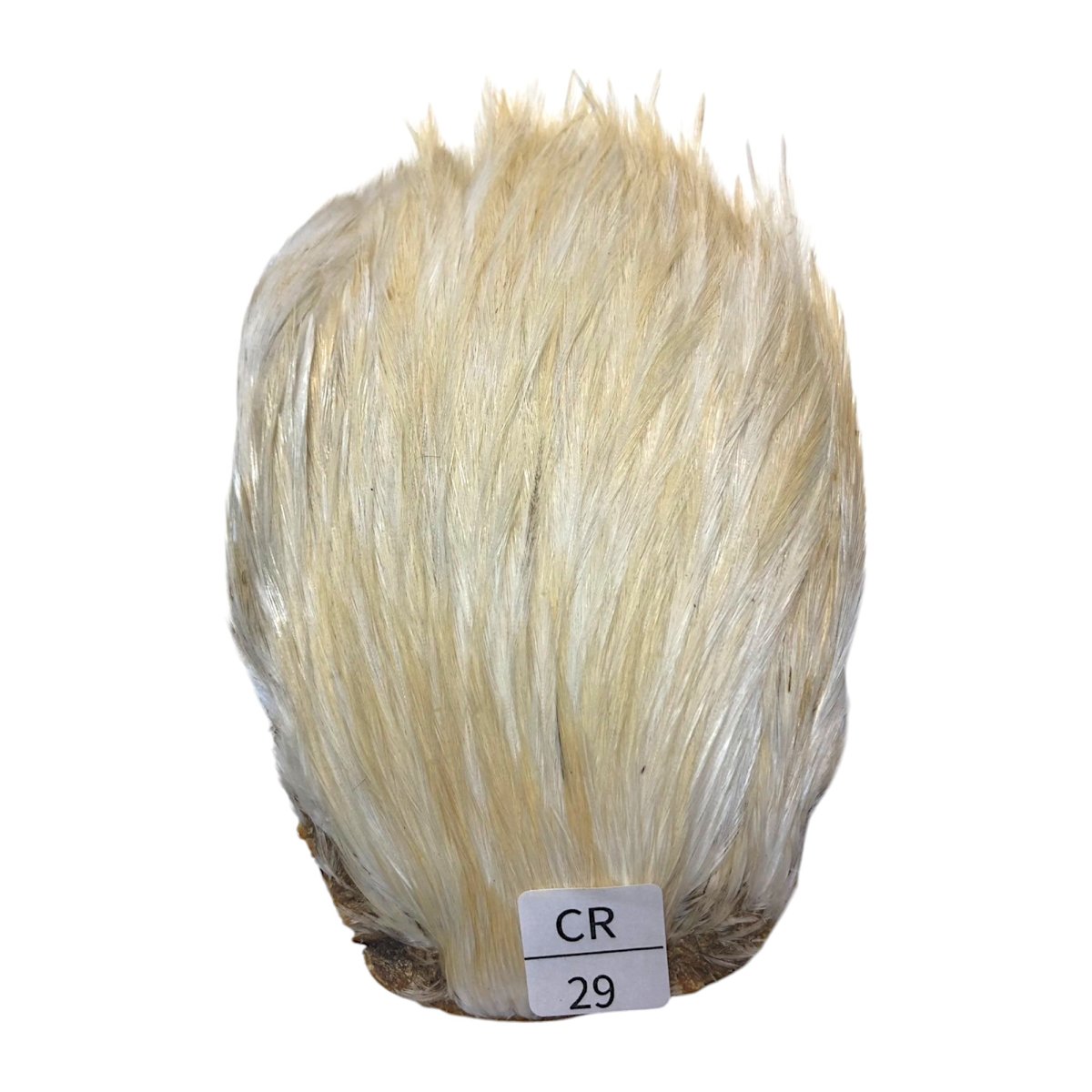 画像1: インドコックケープ India Cock Neck Cape　　クリーム　NO29 (1)