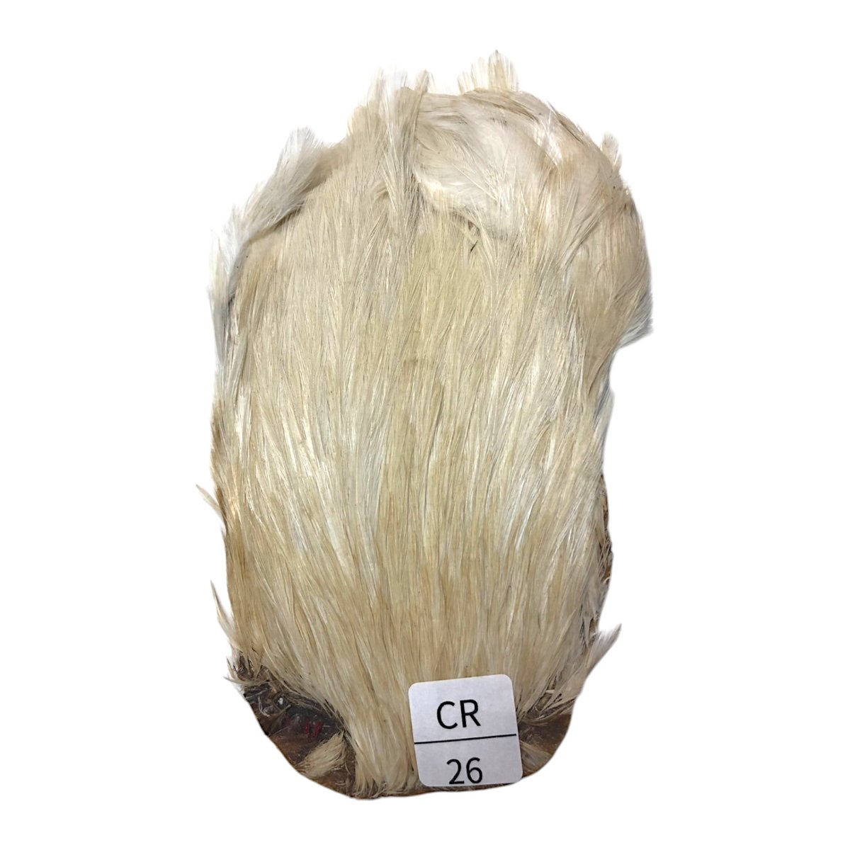 画像1: インドコックケープ India Cock Neck Cape　　クリーム　NO26 (1)