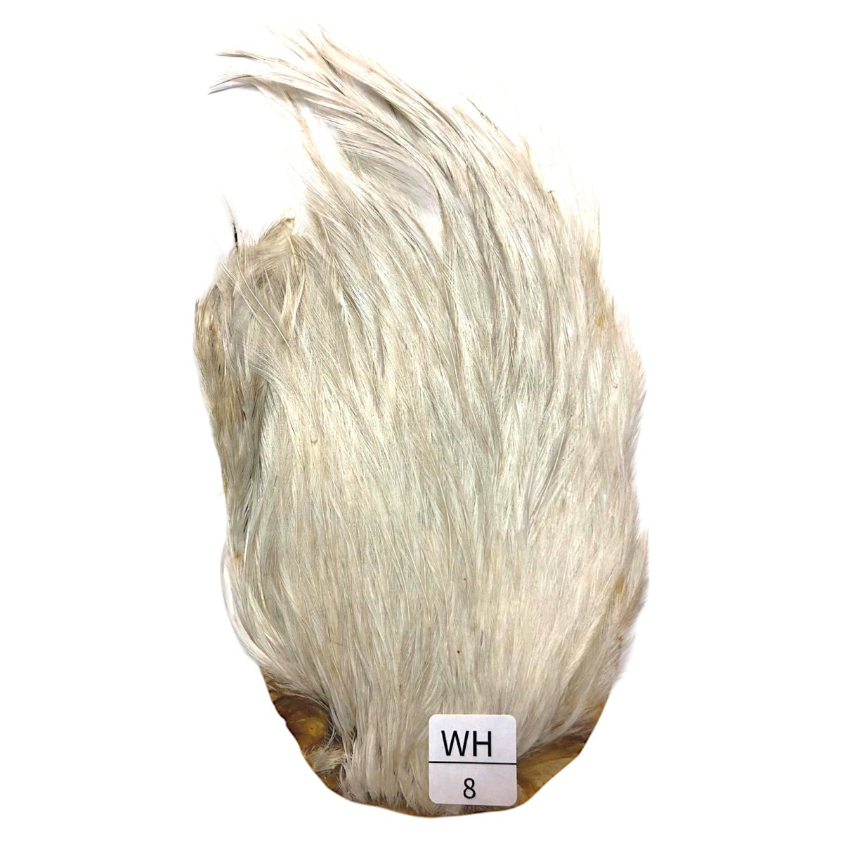 画像1: インドコックケープ India Cock Neck Cape　　ホワイト　NO08 (1)