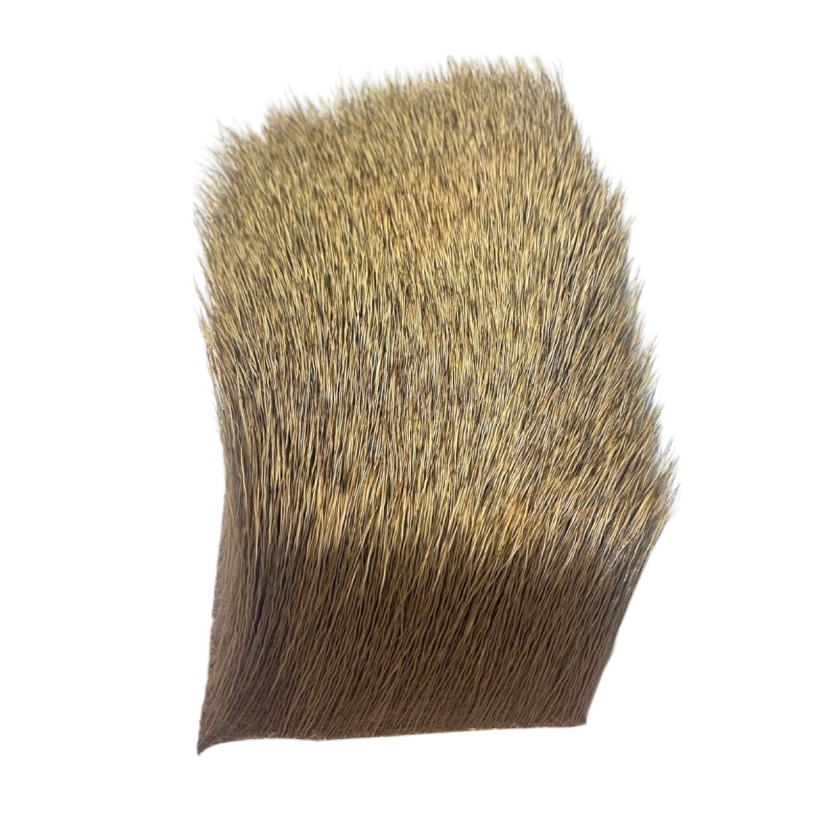 画像3: CANAL キャナル セレクトカウエルク SELECT COW ELK (3)