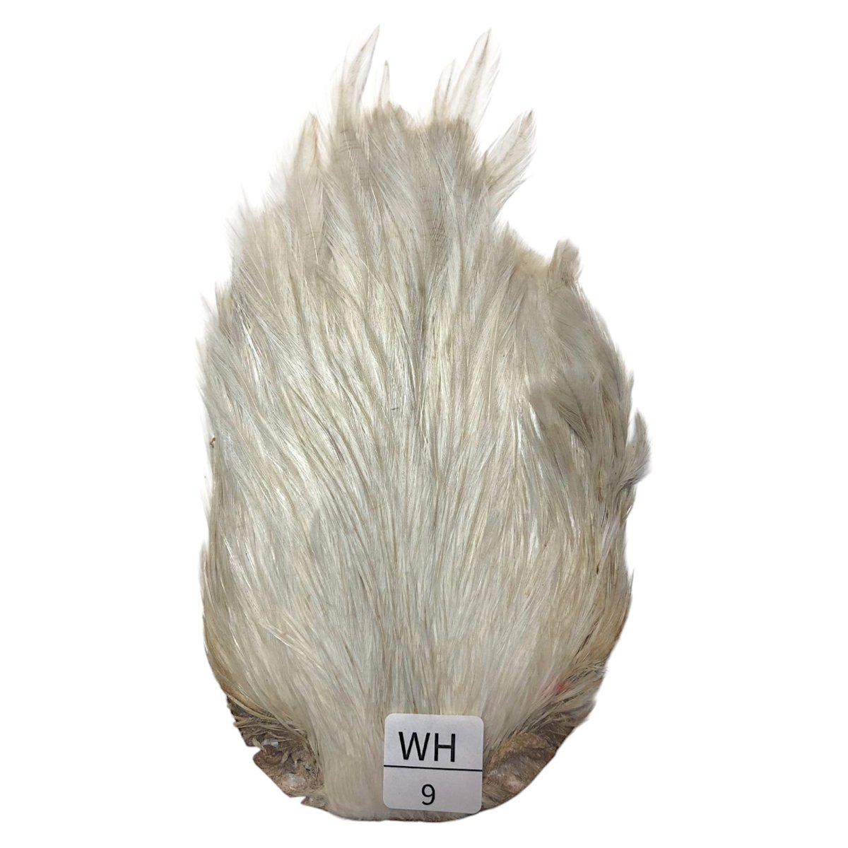 画像1: インドコックケープ India Cock Neck Cape　　ホワイト　NO09 (1)